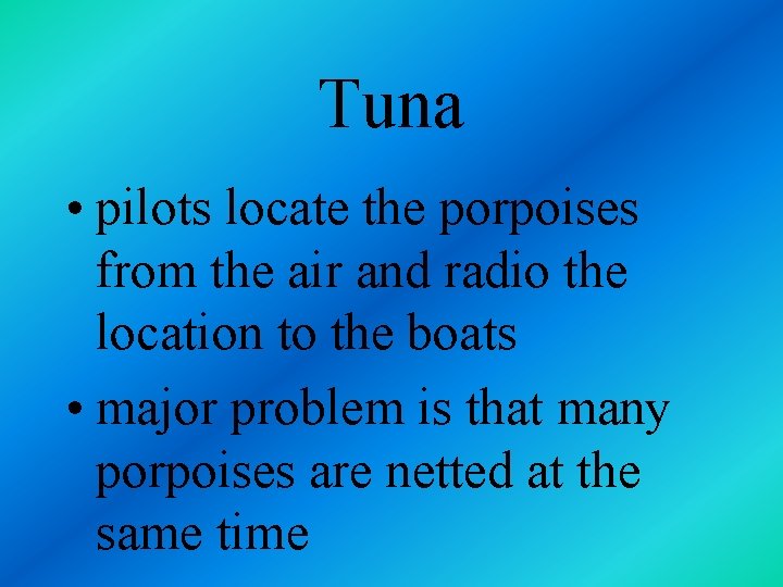 Tuna • pilots locate the porpoises from the air and radio the location to