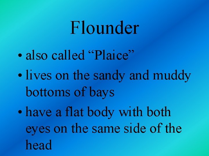 Flounder • also called “Plaice” • lives on the sandy and muddy bottoms of