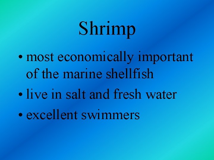 Shrimp • most economically important of the marine shellfish • live in salt and