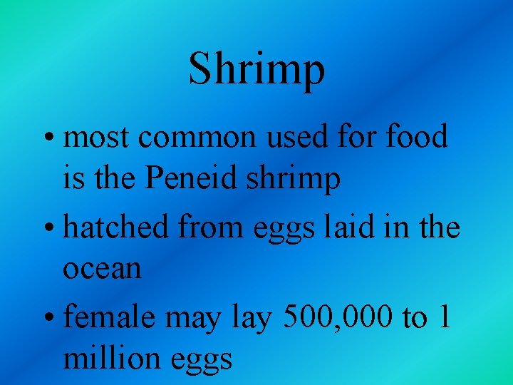 Shrimp • most common used for food is the Peneid shrimp • hatched from