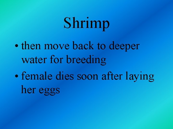Shrimp • then move back to deeper water for breeding • female dies soon