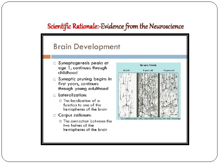 Scientific Rationale: -Evidence from the Neuroscience 