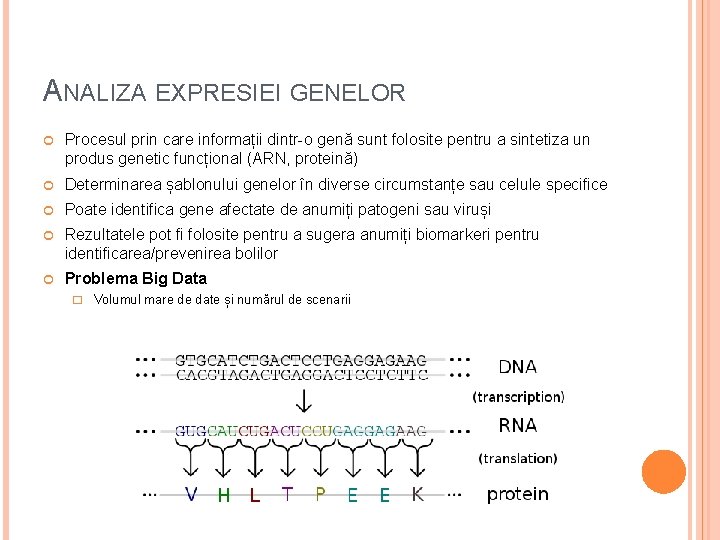 ANALIZA EXPRESIEI GENELOR Procesul prin care informații dintr-o genă sunt folosite pentru a sintetiza