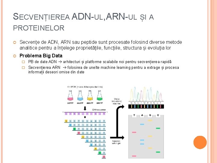 SECVENȚIEREA ADN-UL, ARN-UL ȘI A PROTEINELOR Secvențe de ADN, ARN sau peptide sunt procesate