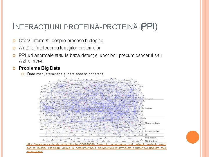 INTERACȚIUNI PROTEINĂ-PROTEINĂ (PPI) Oferă informații despre procese biologice Ajută la înțelegerea funcțiilor proteinelor PPI-uri