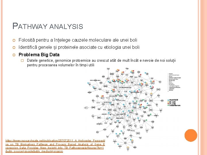 PATHWAY ANALYSIS Folosită pentru a înțelege cauzele moleculare ale unei boli Identifică genele și