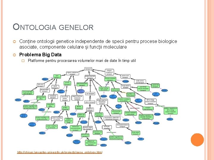 ONTOLOGIA GENELOR Conține ontologii genetice independente de specii pentru procese biologice asociate, componente celulare