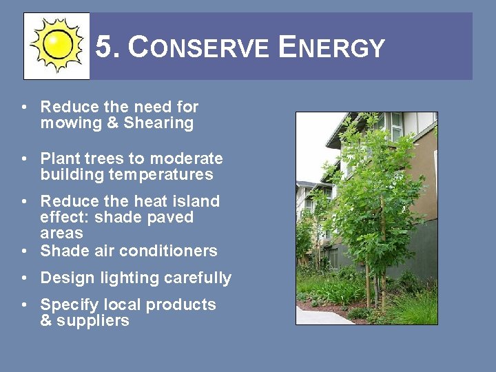 5. CONSERVE ENERGY • Reduce the need for mowing & Shearing • Plant trees