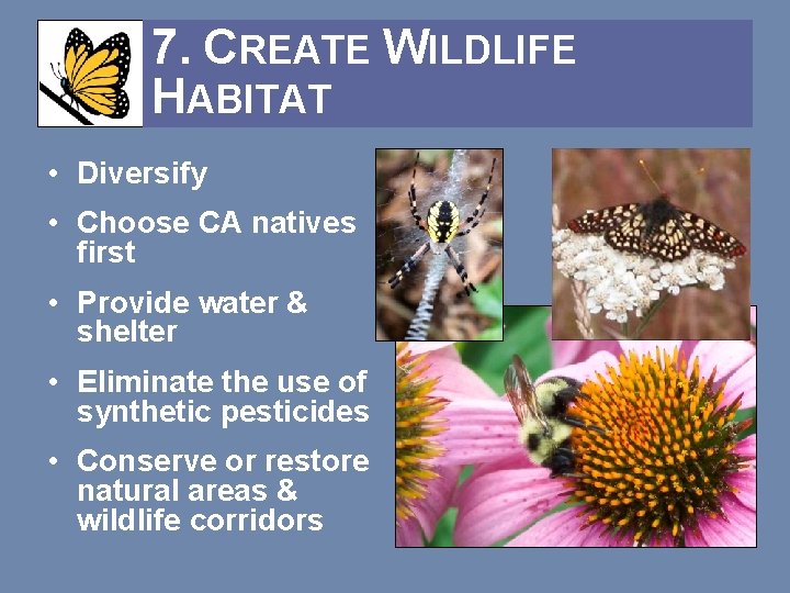 7. CREATE WILDLIFE HABITAT • Diversify • Choose CA natives first • Provide water