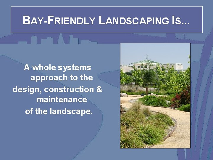 BAY-FRIENDLY LANDSCAPING IS… A whole systems approach to the design, construction & maintenance of