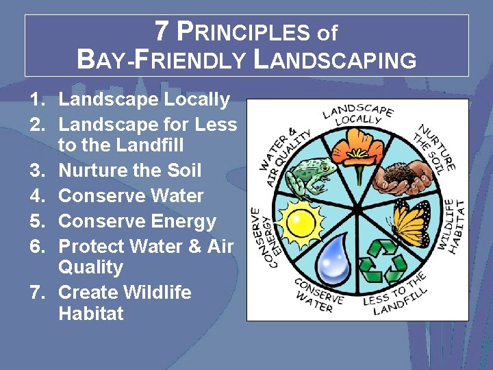 7 PRINCIPLES of BAY-FRIENDLY LANDSCAPING 1. Landscape Locally 2. Landscape for Less to the