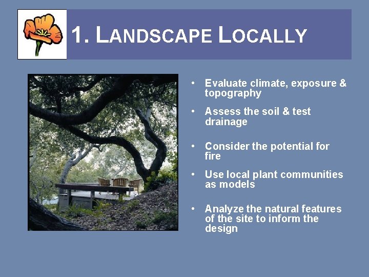 1. LANDSCAPE LOCALLY • Evaluate climate, exposure & topography • Assess the soil &