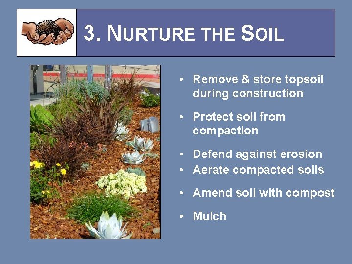 3. NURTURE THE SOIL • Remove & store topsoil during construction • Protect soil
