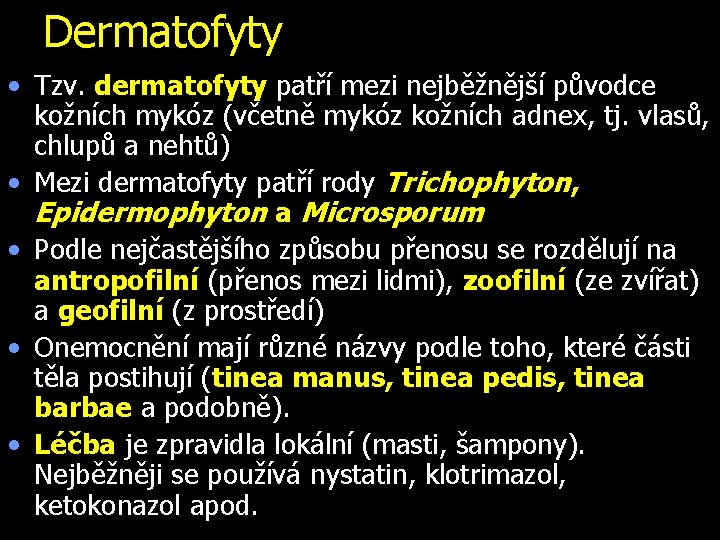 Dermatofyty • Tzv. dermatofyty patří mezi nejběžnější původce kožních mykóz (včetně mykóz kožních adnex,