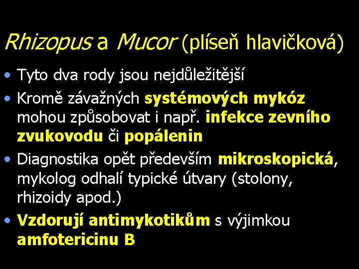 Rhizopus a Mucor (plíseň hlavičková) • Tyto dva rody jsou nejdůležitější • Kromě závažných