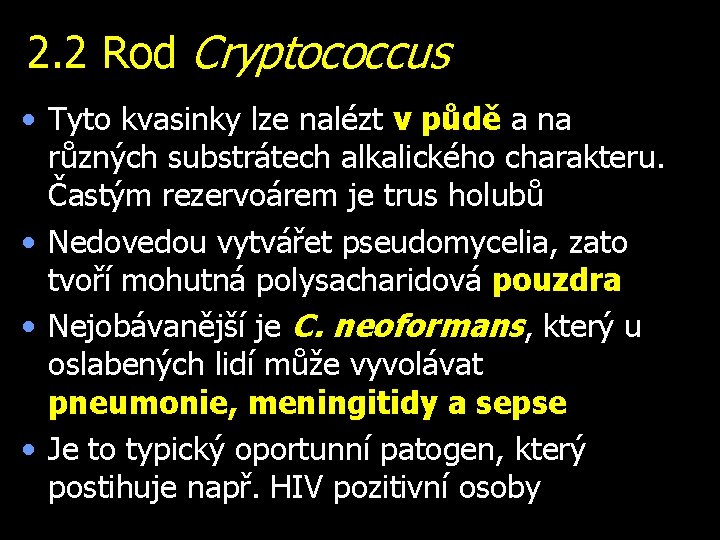 2. 2 Rod Cryptococcus • Tyto kvasinky lze nalézt v půdě a na různých