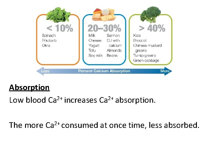 Absorption Low blood Ca 2+ increases Ca 2+ absorption. The more Ca 2+ consumed