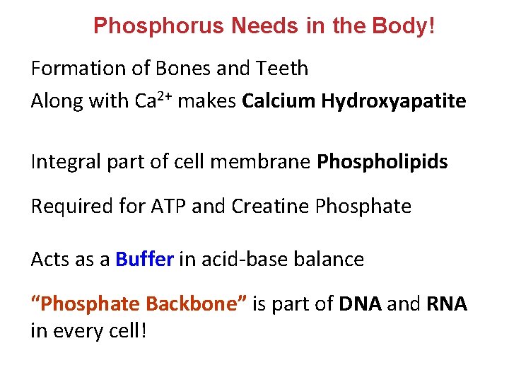 Phosphorus Needs in the Body! Formation of Bones and Teeth Along with Ca 2+