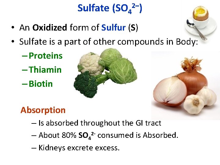 Sulfate (SO 42–) • An Oxidized form of Sulfur (S) • Sulfate is a