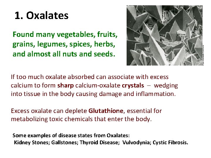 1. Oxalates Found many vegetables, fruits, grains, legumes, spices, herbs, and almost all nuts