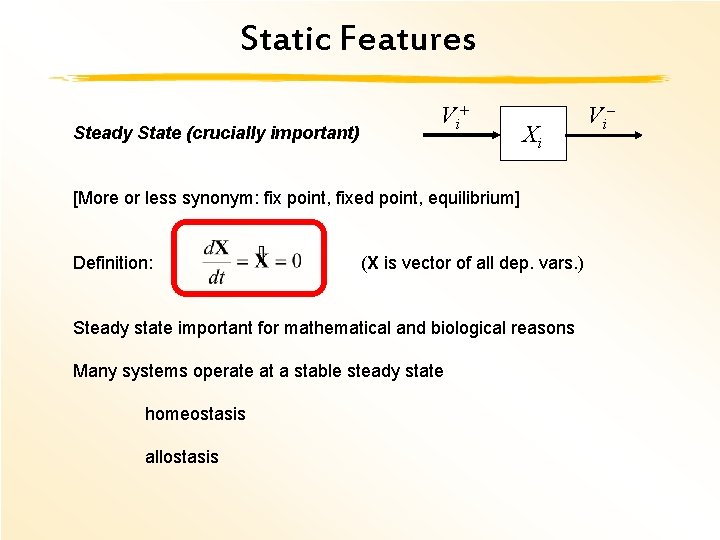Static Features Steady State (crucially important) V i+ Xi [More or less synonym: fix