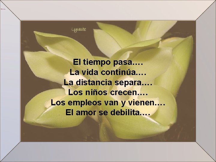 El tiempo pasa…. La vida continúa…. La distancia separa…. Los niños crecen…. Los empleos