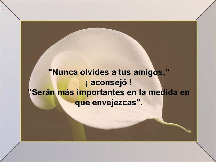 "Nunca olvides a tus amigos, ” ¡ aconsejó ! "Serán más importantes en la