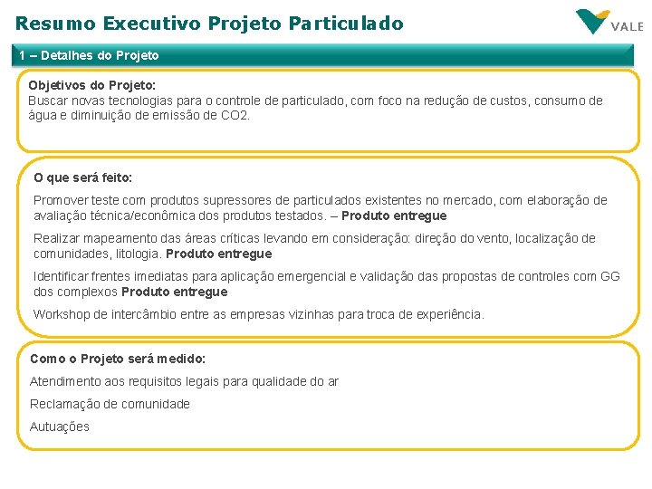 Resumo Executivo Projeto Particulado 1 – Detalhes do Projeto Objetivos do Projeto: Buscar novas