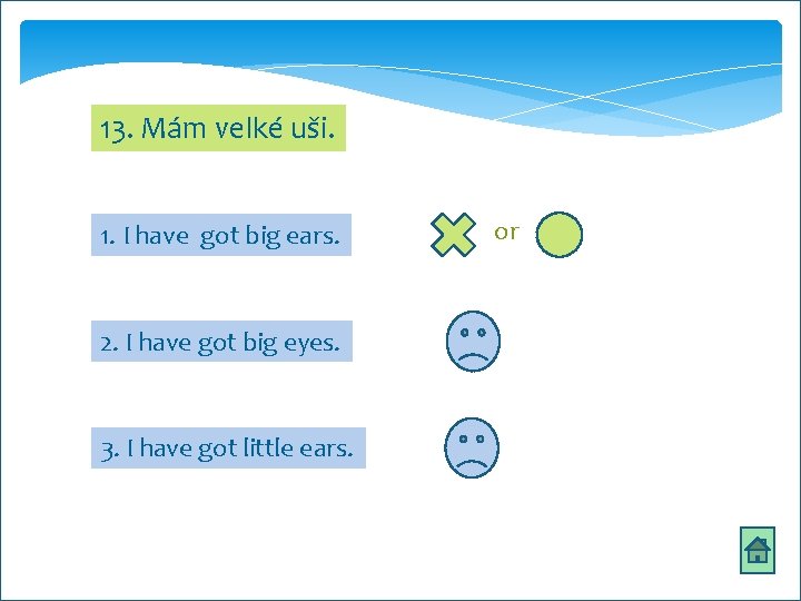 13. Mám velké uši. or 1. I have got big ears. tl 2. I