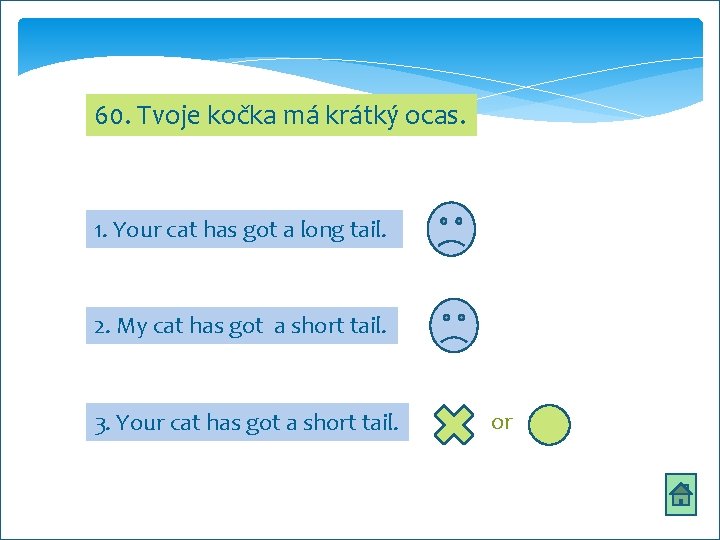 60. Tvoje kočka má krátký ocas. 1. Your cat has got a long tail.