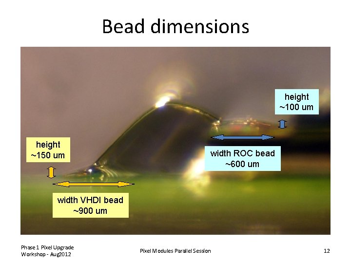 Bead dimensions height ~100 um height ~150 um width ROC bead ~600 um width
