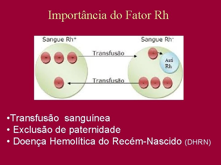 Importância do Fator Rh • Transfusão sanguínea • Exclusão de paternidade • Doença Hemolítica