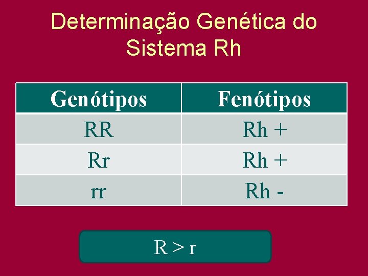 Determinação Genética do Sistema Rh Genótipos RR Rr rr Fenótipos Rh + Rh R>r