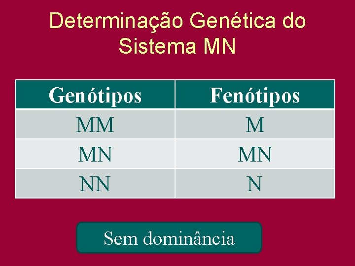 Determinação Genética do Sistema MN Genótipos MM MN NN Fenótipos M MN N Sem