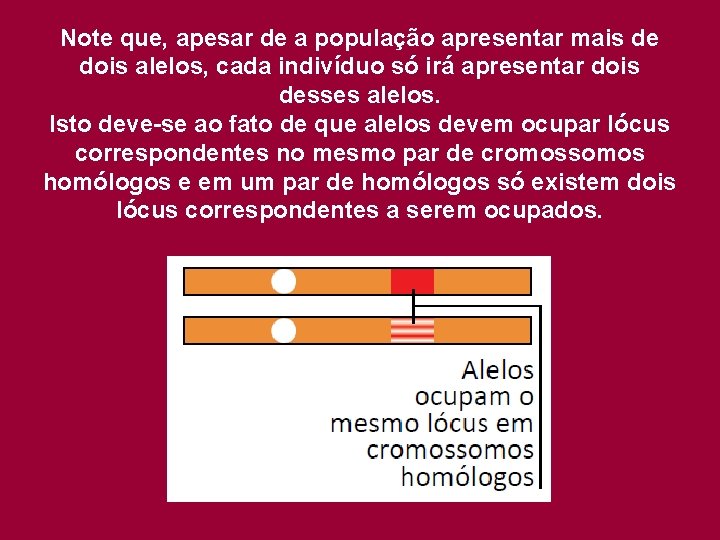 Note que, apesar de a população apresentar mais de dois alelos, cada indivíduo só
