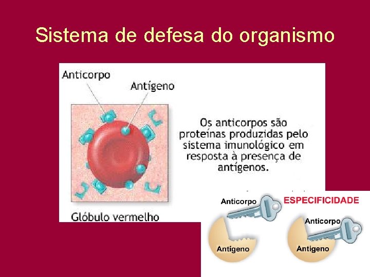 Sistema de defesa do organismo 