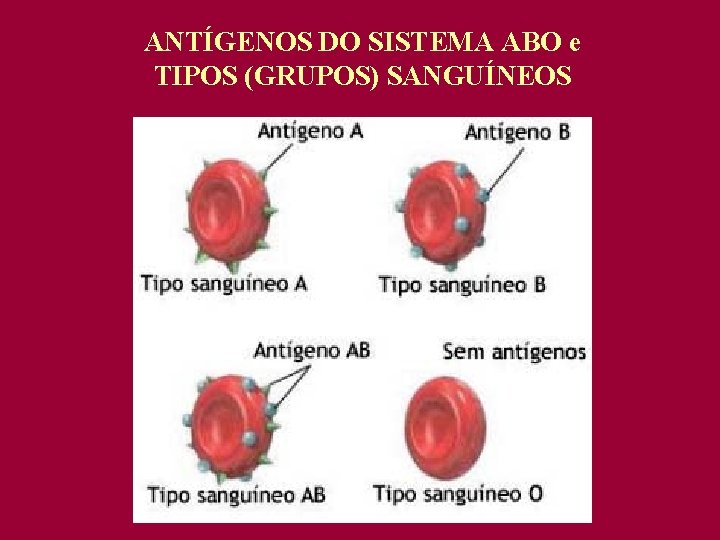 ANTÍGENOS DO SISTEMA ABO e TIPOS (GRUPOS) SANGUÍNEOS 