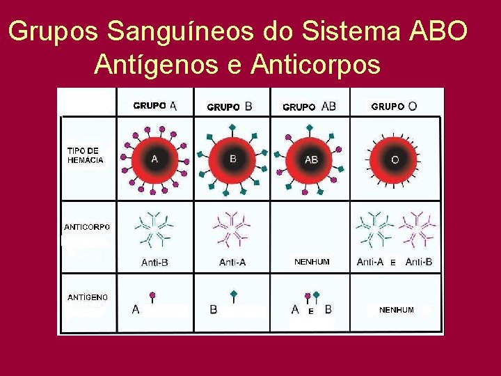 Grupos Sanguíneos do Sistema ABO Antígenos e Anticorpos Ig. M Natural 
