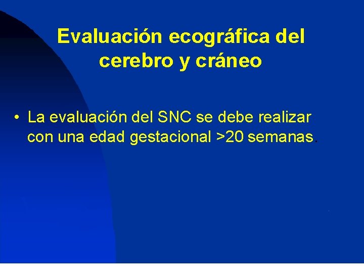 Evaluación ecográfica del cerebro y cráneo • La evaluación del SNC se debe realizar