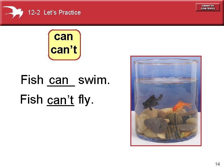 12 -2 Let’s Practice can’t Fish ____ can swim. Fish ____ can’t fly. 14