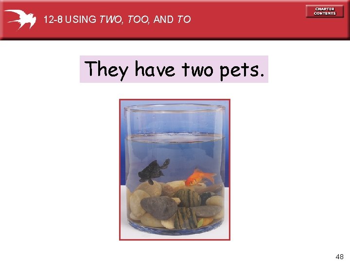 12 -8 USING TWO, TOO, AND TO They have two pets. 48 