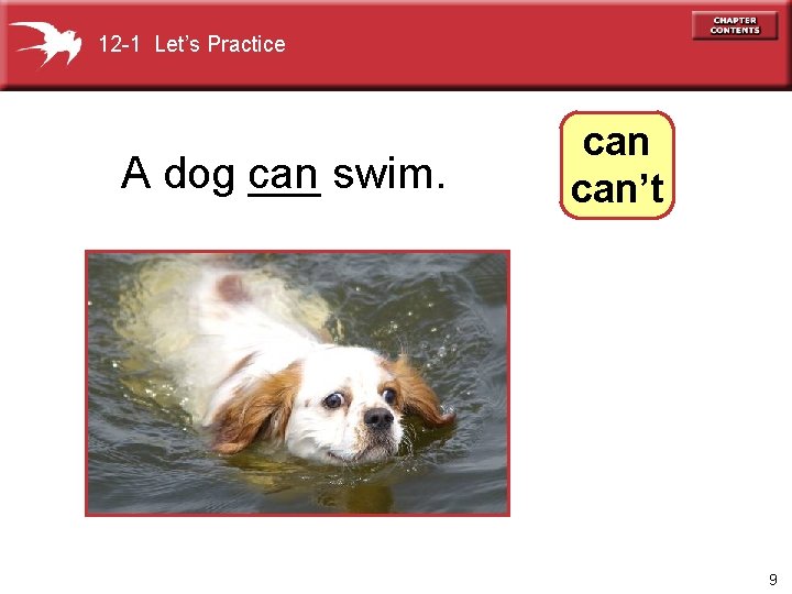 12 -1 Let’s Practice A dog can ___ swim. can’t 9 
