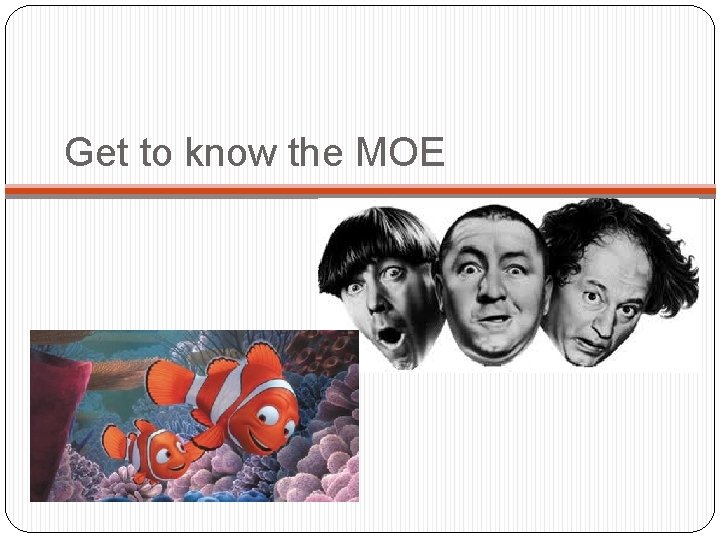 Get to know the MOE 