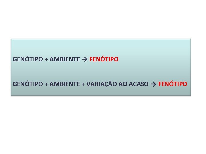 GENÓTIPO + AMBIENTE → FENÓTIPO GENÓTIPO + AMBIENTE + VARIAÇÃO AO ACASO → FENÓTIPO