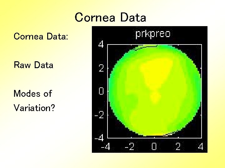 Cornea Data: Raw Data Modes of Variation? 