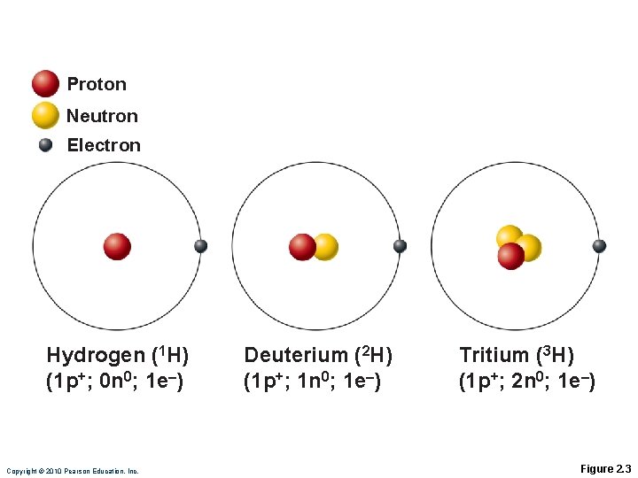 Proton Neutron Electron Hydrogen (1 H) (1 p+; 0 n 0; 1 e–) Copyright