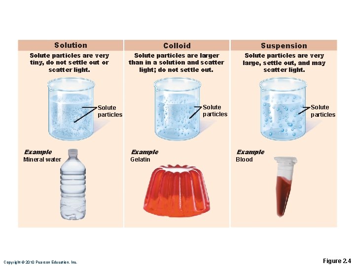 Solution Colloid Suspension Solute particles are very tiny, do not settle out or scatter