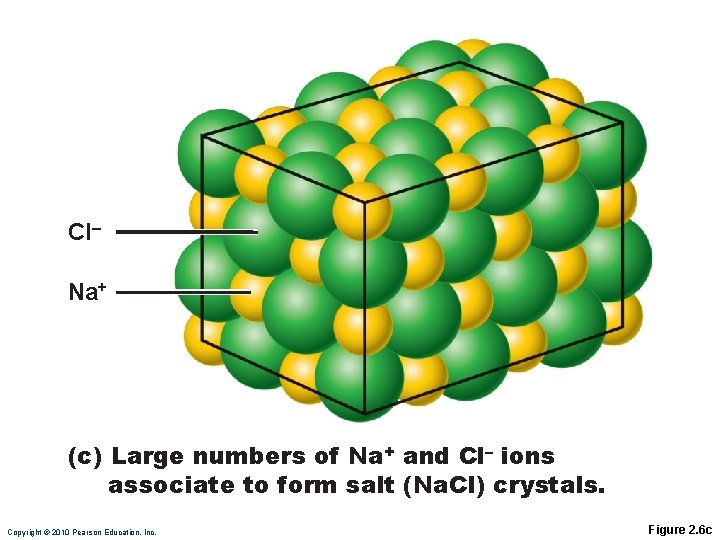 CI– Na+ (c) Large numbers of Na+ and Cl– ions associate to form salt