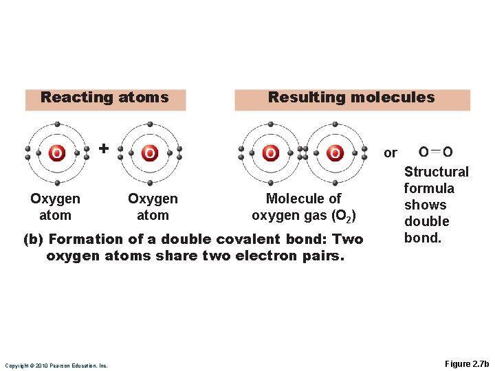 Reacting atoms Resulting molecules + Oxygen atom or Oxygen atom Molecule of oxygen gas