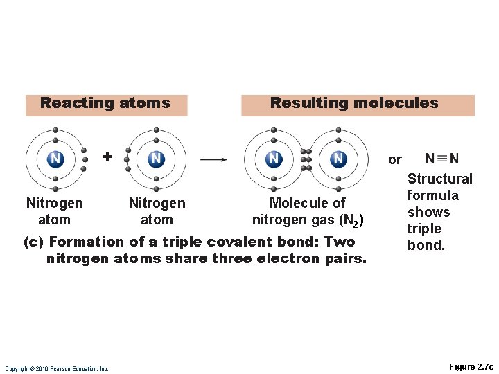 Reacting atoms Resulting molecules + Nitrogen atom or Nitrogen atom Molecule of nitrogen gas